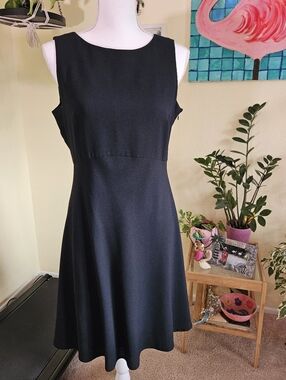Carole little Classic Black Sleeveless A-Line Dress